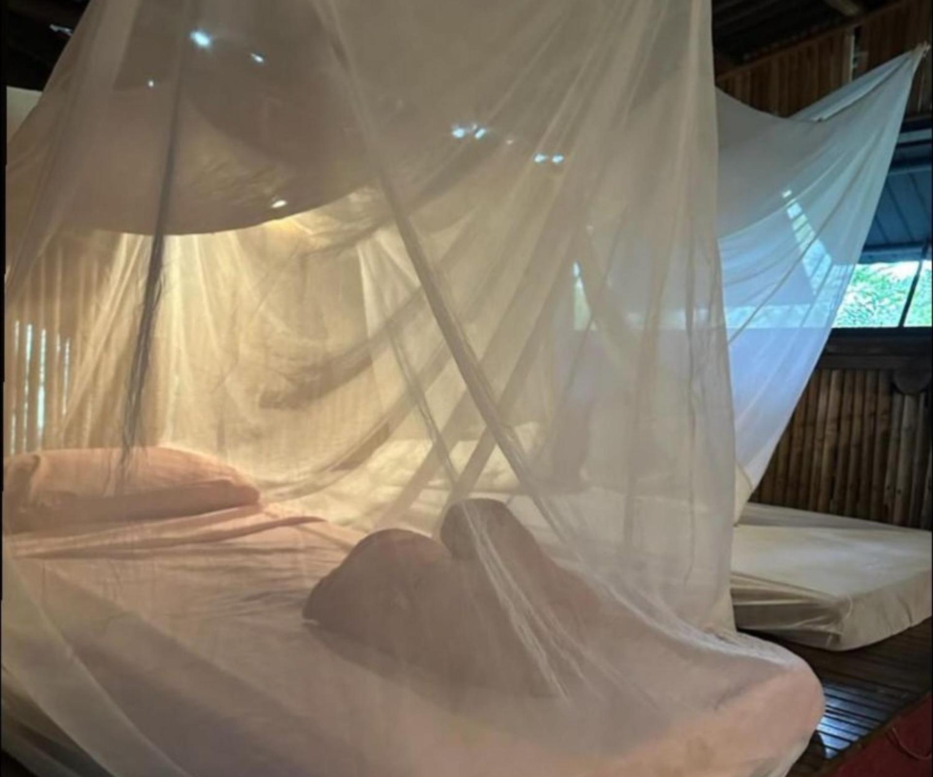 Remo Hostel باراتي المظهر الخارجي الصورة